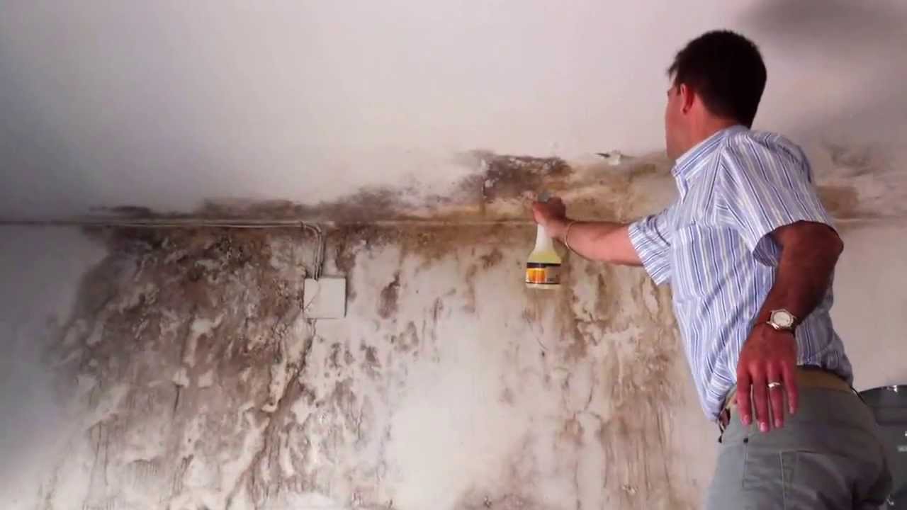 ¿Como limpiar la humedad de las paredes?