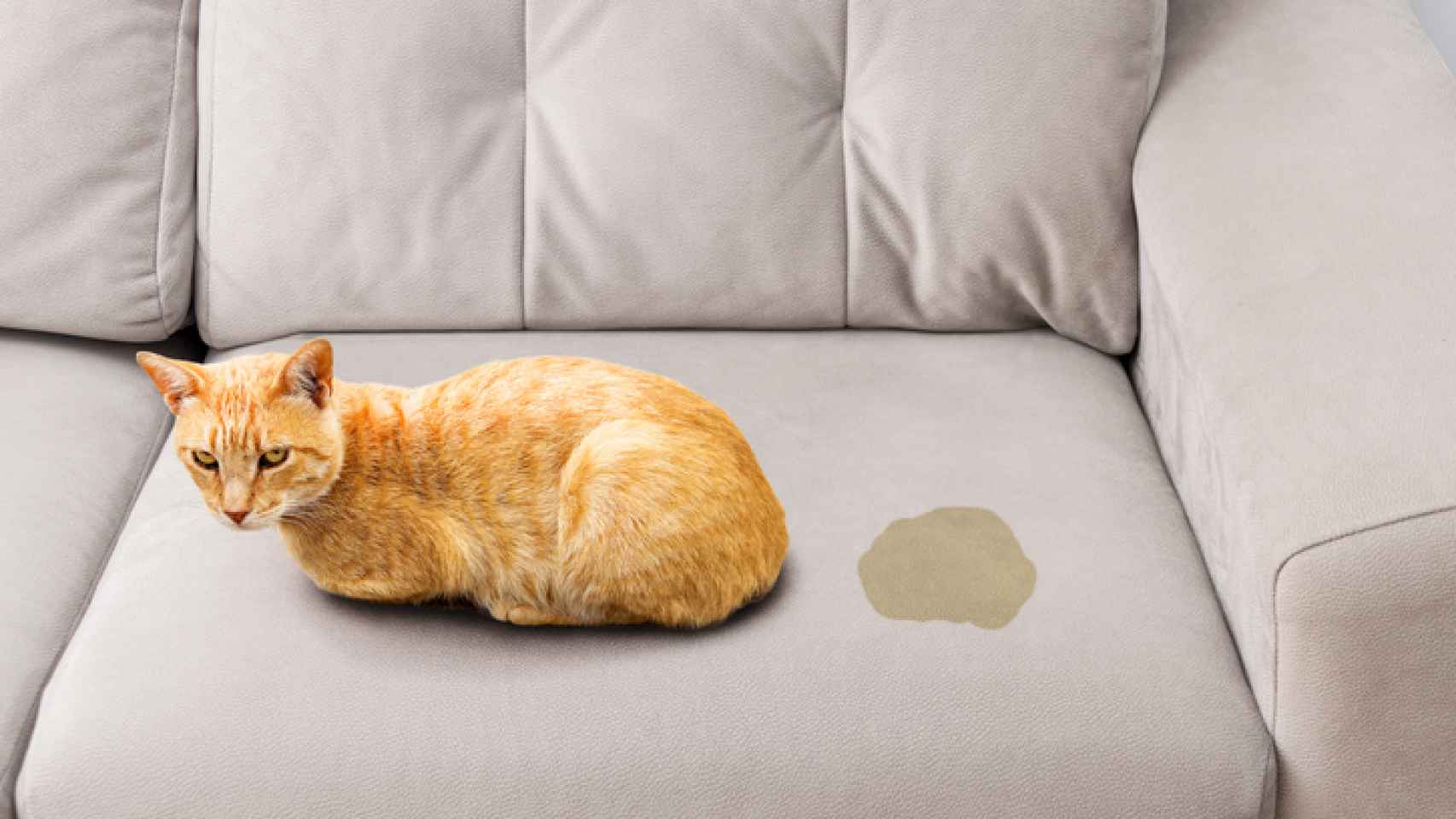 ¿Como limpiar sofa de tela muy sucio?