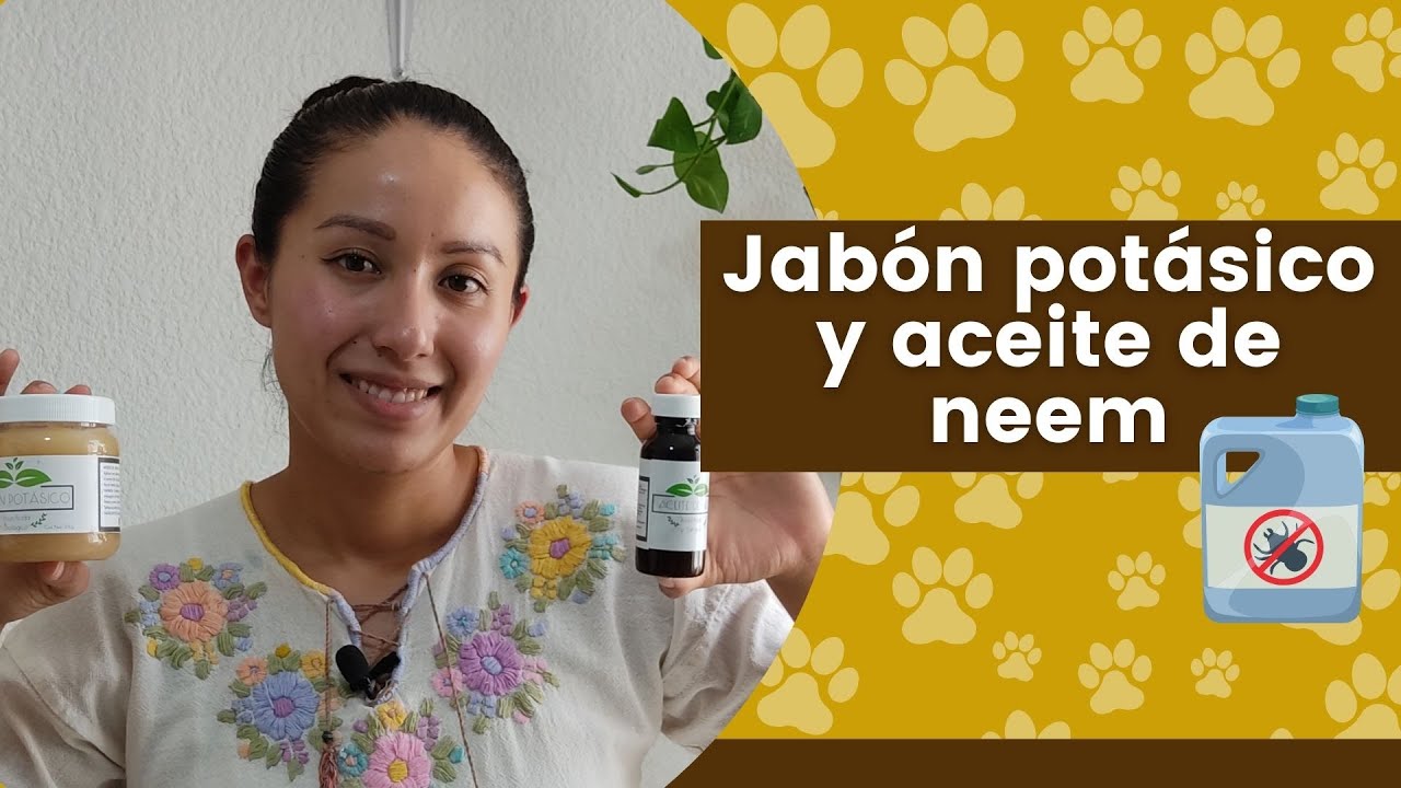 ¿Como mezclar jabon potasico y aceite de neem?
