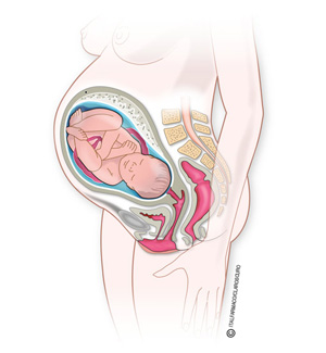 Semana 38 de embarazo movimientos del bebé